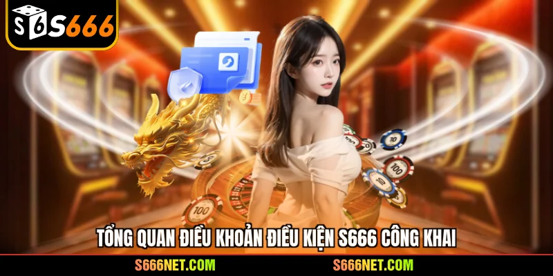 Tổng quan điều khoản điều kiện S666 công khai 